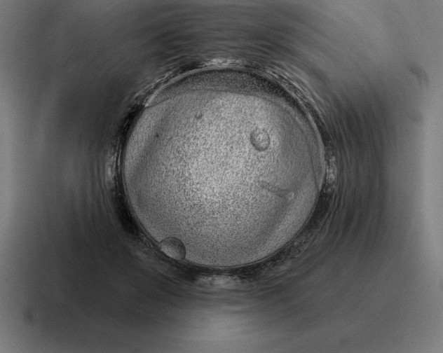 X0000116810503200912311958