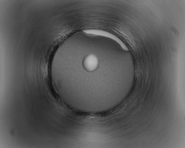 X0000116810504200912311958