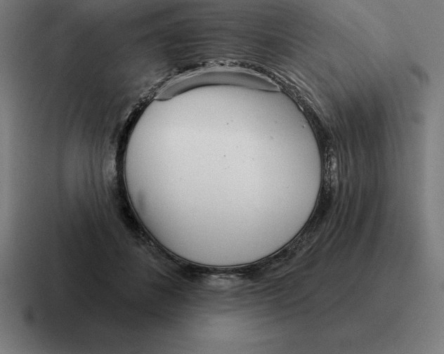 X0000116810508200912311958