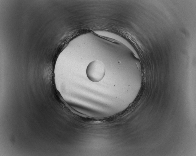 X0000116810509200912311958