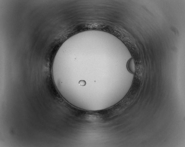 X0000116810510200912311958