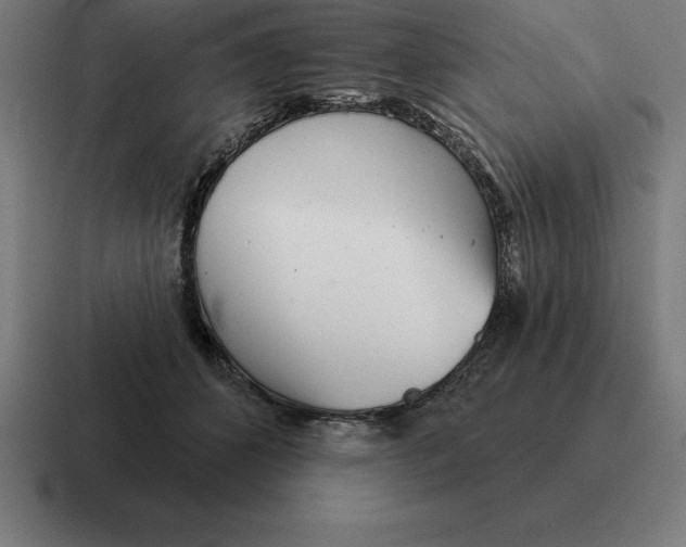 X0000116810512200912311958