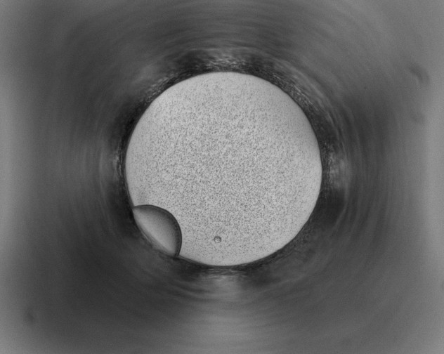 X0000116810514200912311958