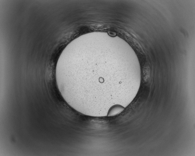 X0000116810515200912311958