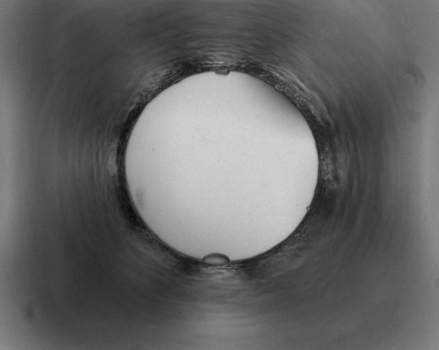 X0000116810516200912311958