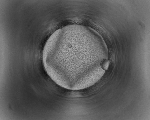 X0000116810518200912311958