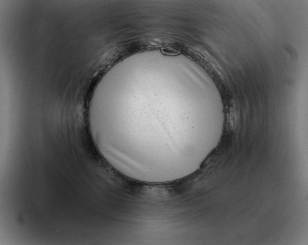 X0000116810520200912311958