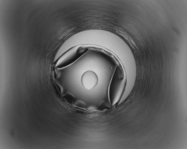 X0000116810521200912311958