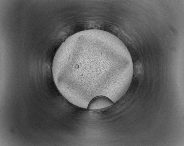 X0000116810522200912311958