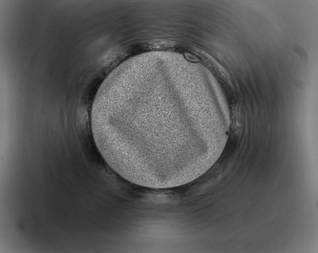 X0000116810523200912311958