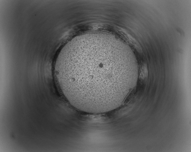 X0000116810524200912311958