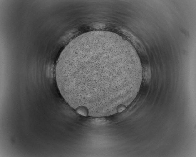 X0000116810525200912311958