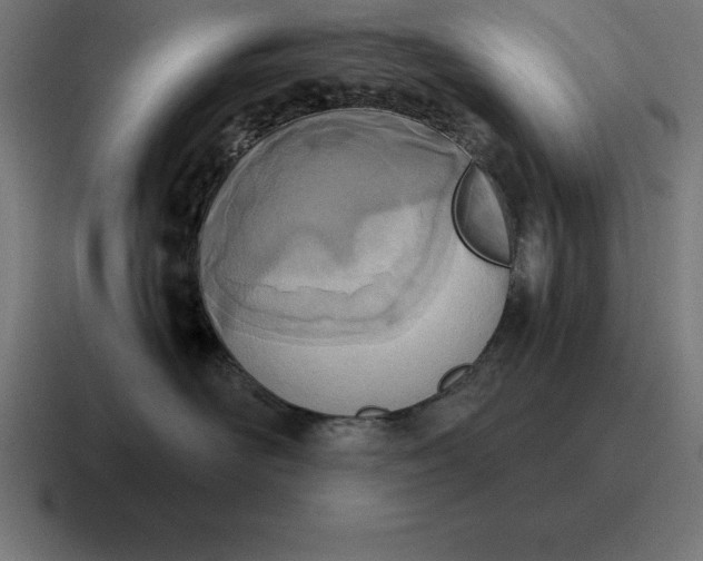 X0000116810526200912311958