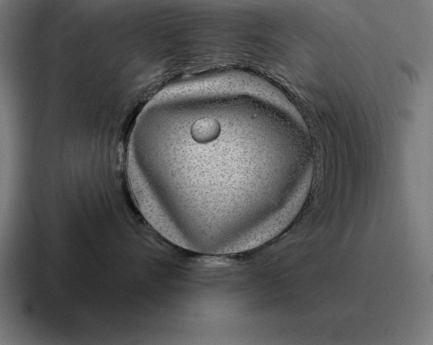 X0000116810528200912311958