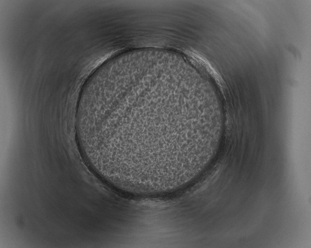 X0000116810529200912311957