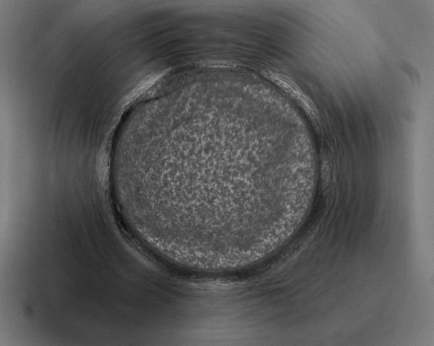 X0000116810533200912311957