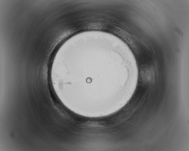 X0000116810534200912311957