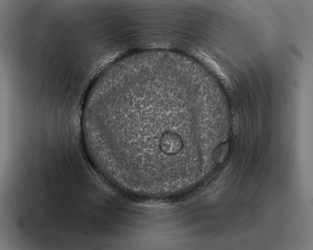 X0000116810537200912311958