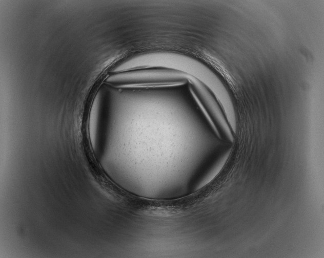 X0000116810538200912311958