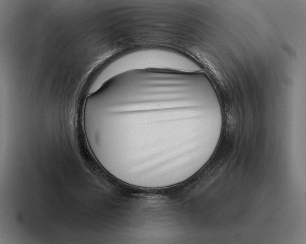 X0000116810539200912311958