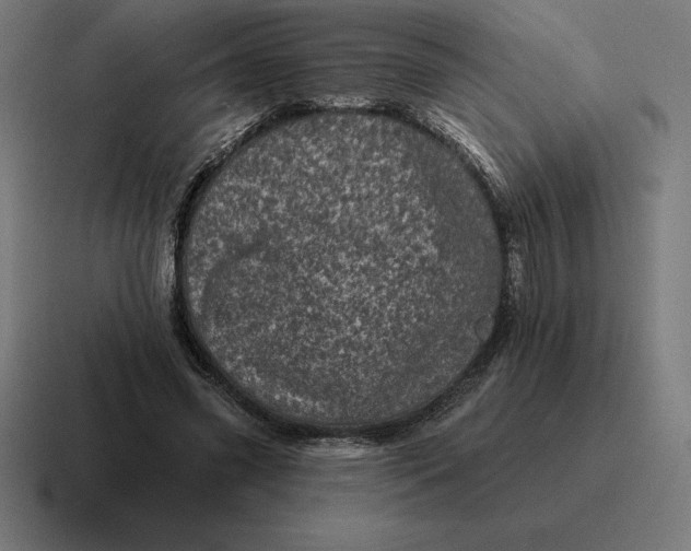 X0000116810541200912311958