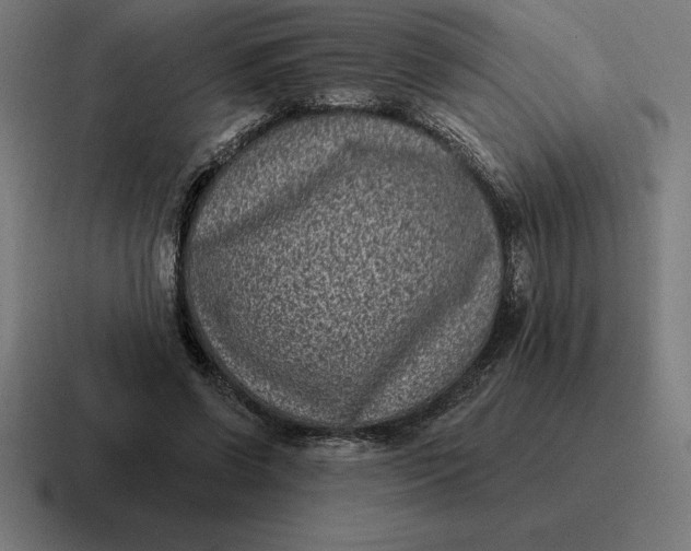 X0000116810542200912311958