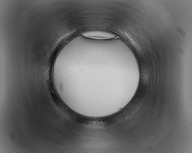 X0000116810543200912311958