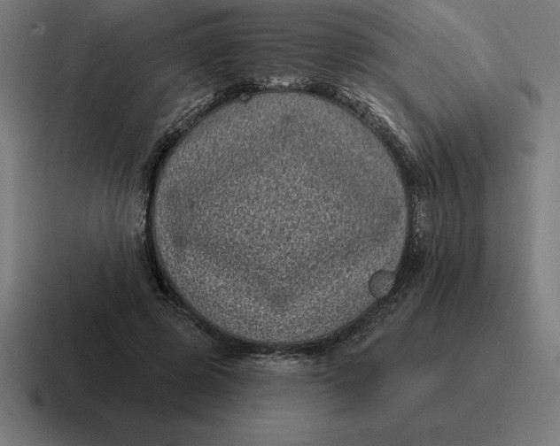 X0000116810545200912311958