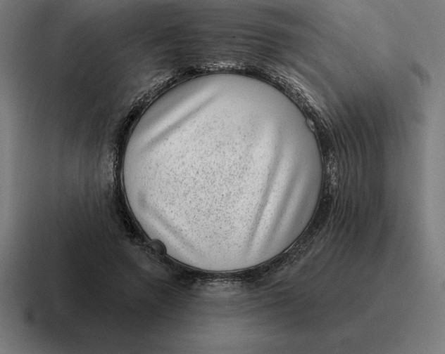 X0000116810546200912311958