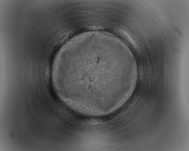 X0000116810549200912311958