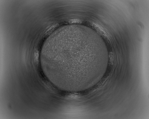 X0000116810550200912311958