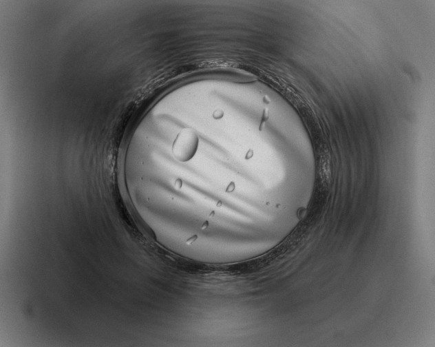 X0000116810551200912311958