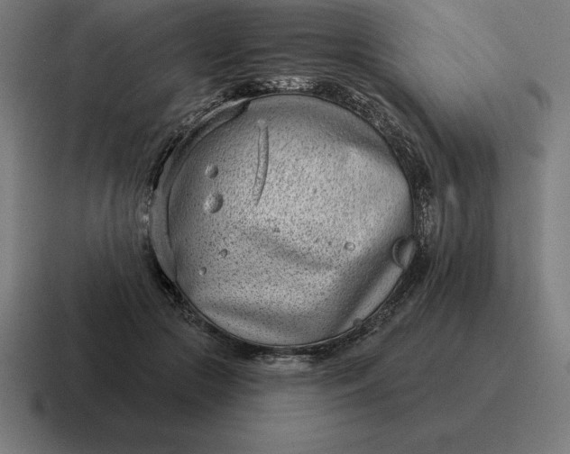 X0000116810553200912311958