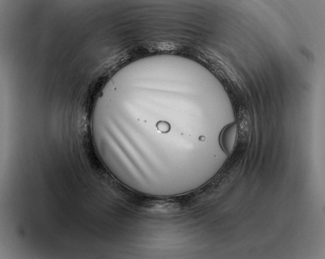 X0000116810555200912311958