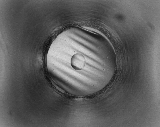 X0000116810558200912311958