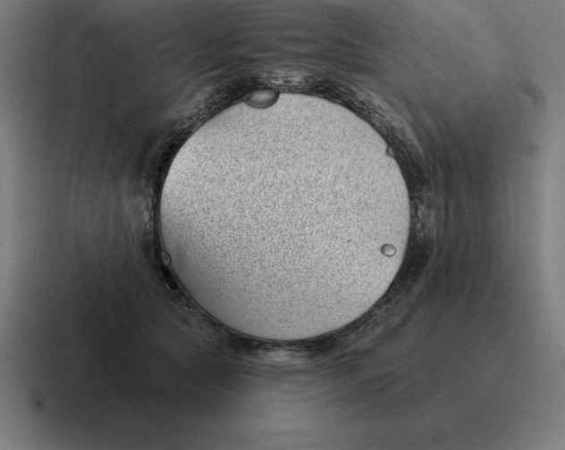 X0000116810561200912311958