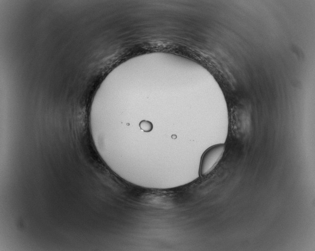 X0000116810563200912311958