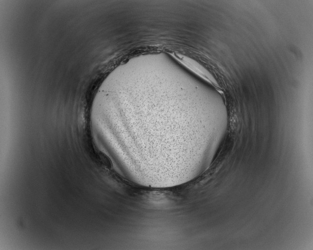 X0000116810566200912311958