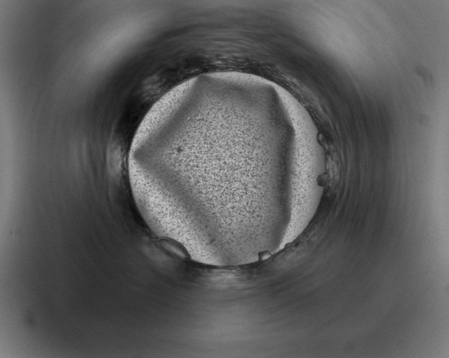 X0000116810574200912311958