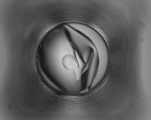 X0000116810577200912311957