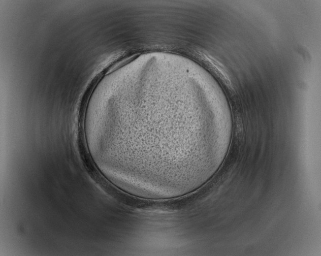 X0000116810578200912311957