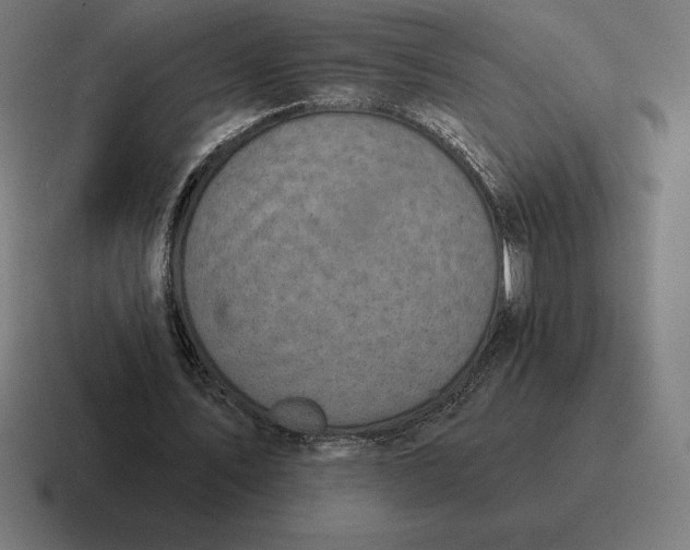 X0000116810579200912311957