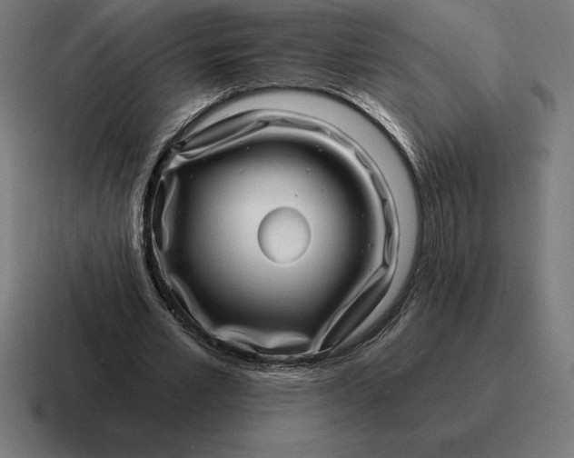 X0000116810581200912311957