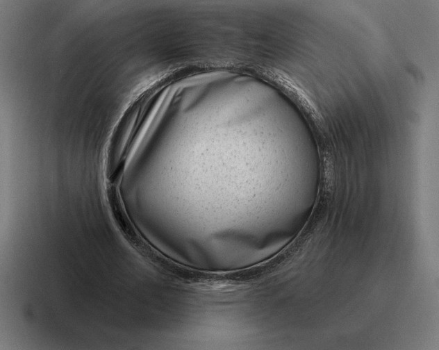 X0000116810582200912311957