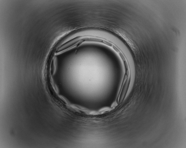 X0000116810583200912311957