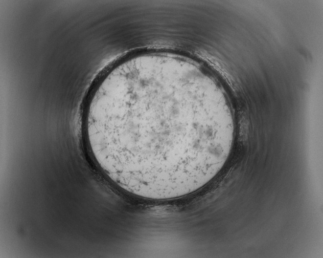 X0000116810584200912311957