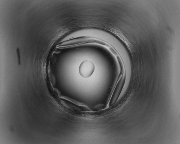 X0000116810585200912311957