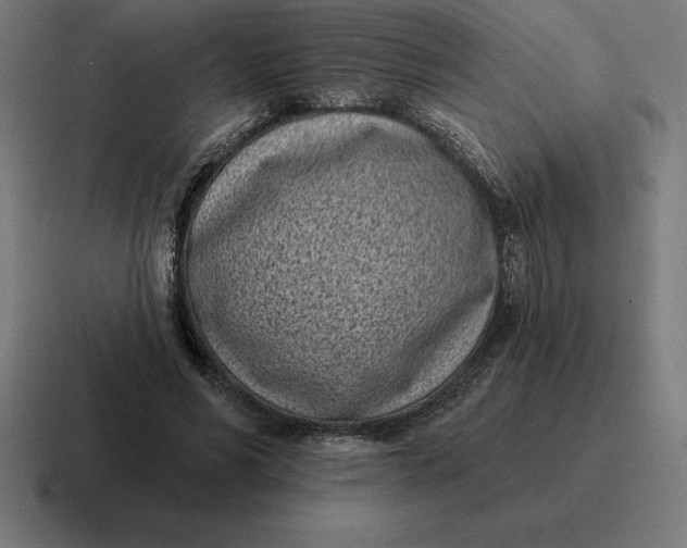 X0000116810590200912311957