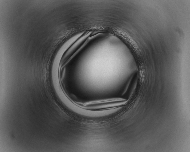 X0000116810593200912311957