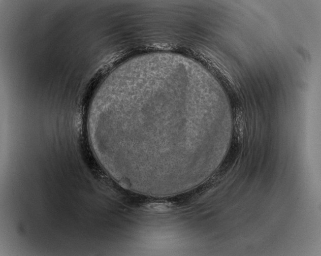 X0000116810595200912311957